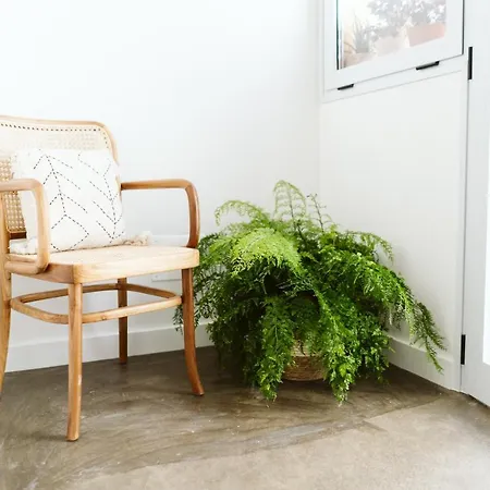 Dreamsea Surf House Fuerteventura Vandrarhem Corralejo